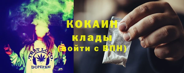 PSILOCYBIN Лихославль