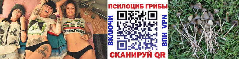 где можно купить Домодедово kraken tor Галлюциногенные грибы MAGIC MUSHROOMS