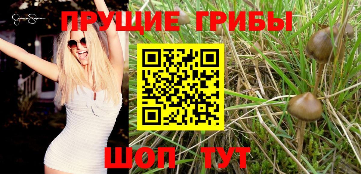 Галлюциногенные грибы Psilocybe  Домодедово  Псилоцибиновые грибы Magic Shrooms 
